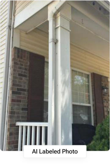 Image-1